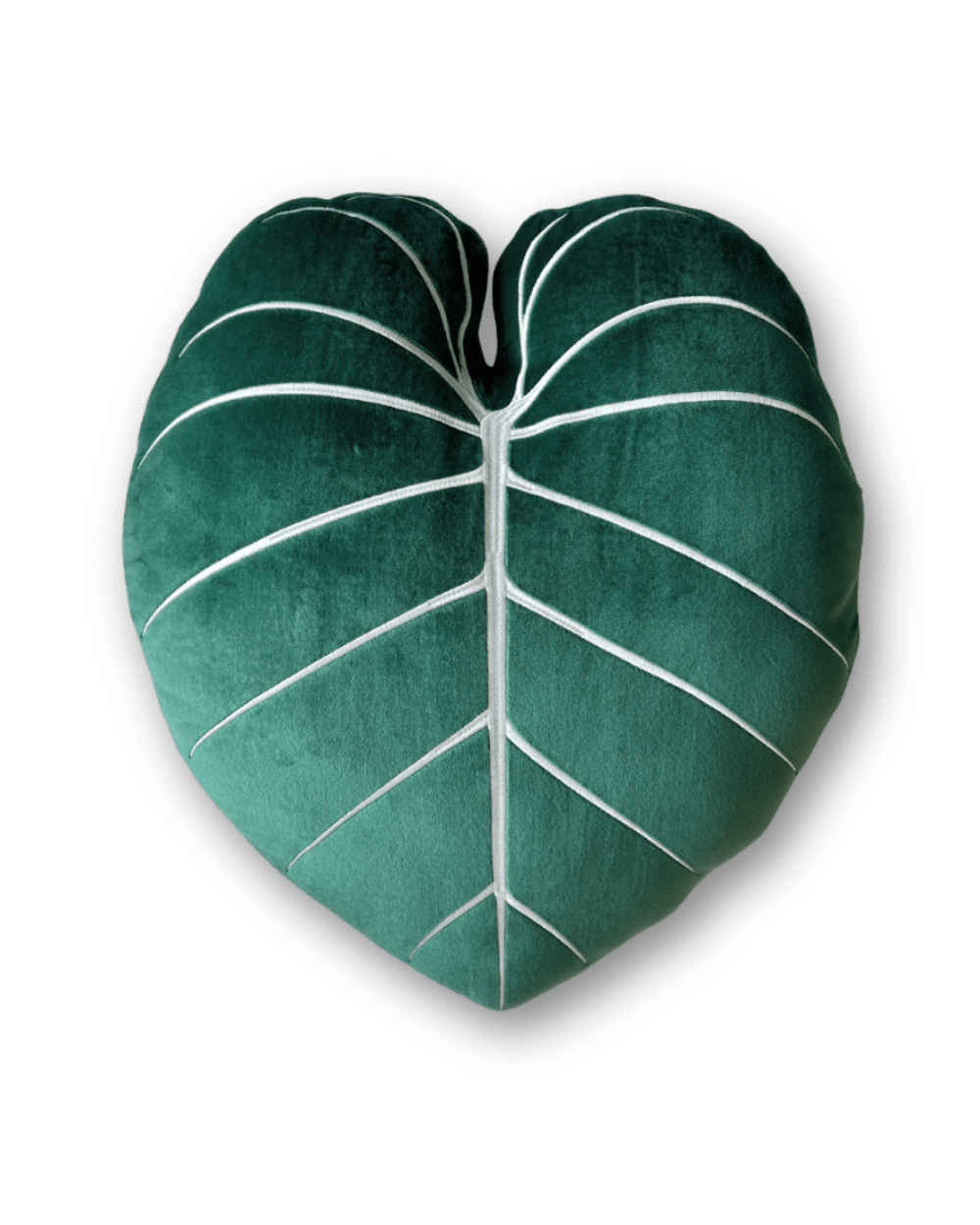 philodendron gloriosum free Philodendron Gloriosum Pillow