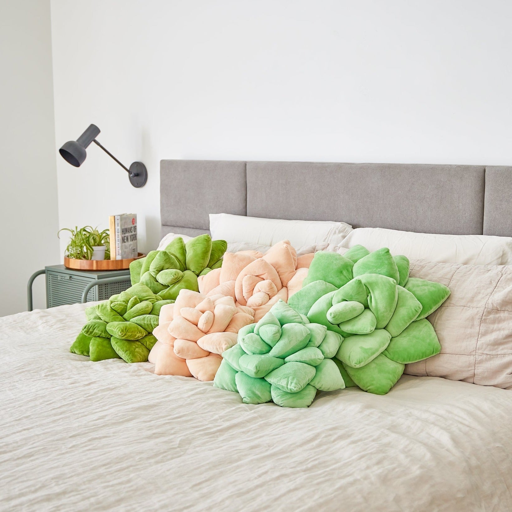 green philosophy co succulent pillow Lil' + Big Pop Succulent Bundle, Lil' Blush Peach + Big Sage Green