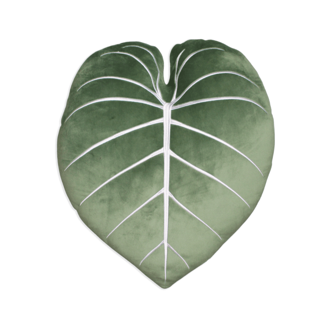 est philodendron pillow Philodendron Gloriosum