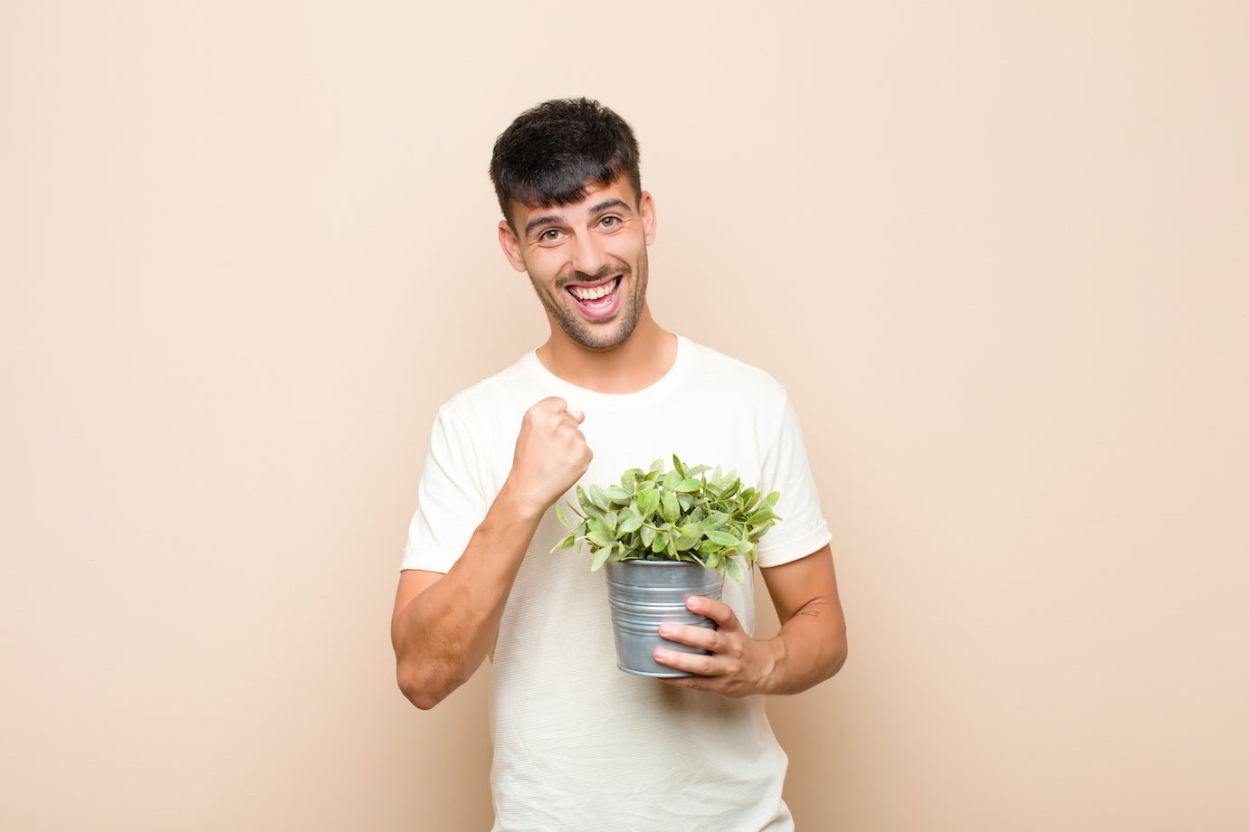 Why Plants Make Us Feel Good - Green Philosophy Co.