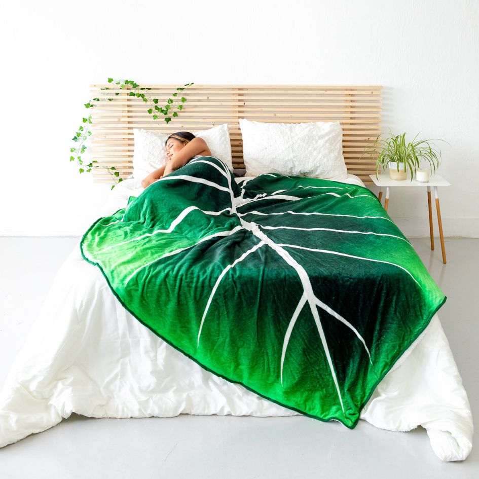 philodendron duvet Philodendron Gloriosum | Decorative Throw Pillows For Couch