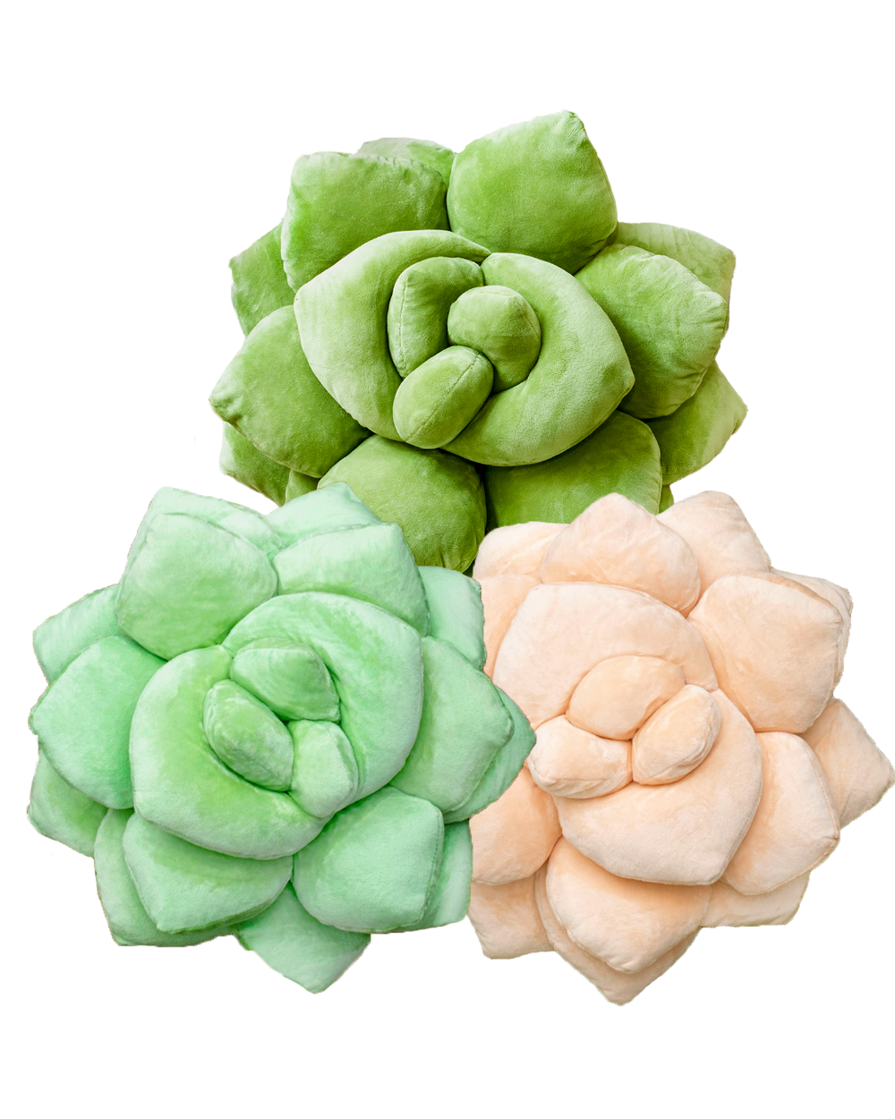 Lil' Pop Succulent® Trio Bundle