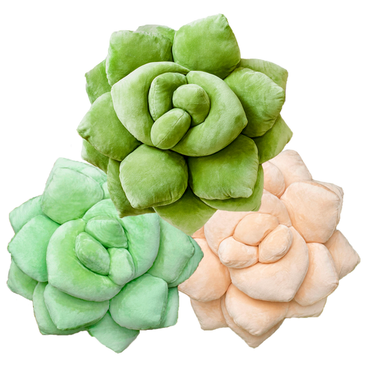 Lil' Pop Succulents Trio Bundle