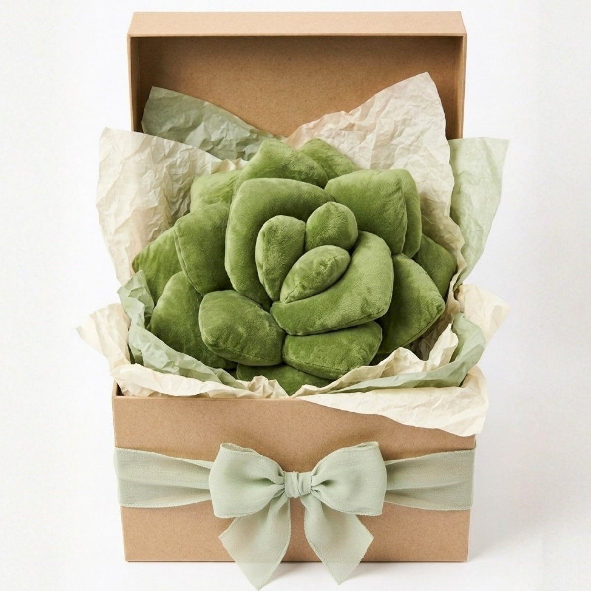Lil' Pop Succulent®  - Olive Green