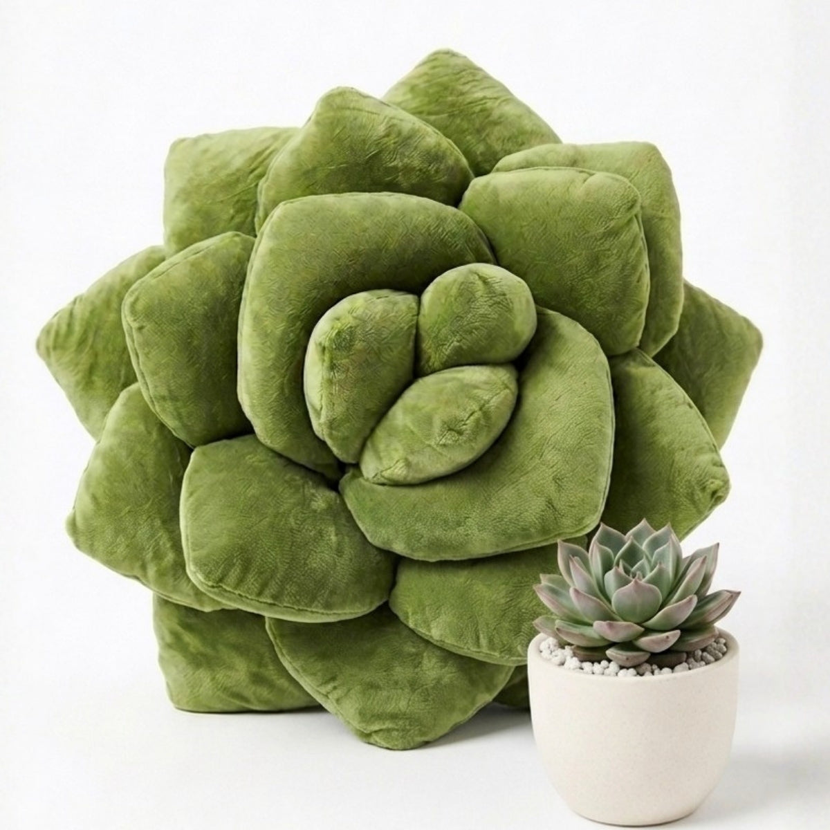 Lil' Pop Succulent®  - Olive Green