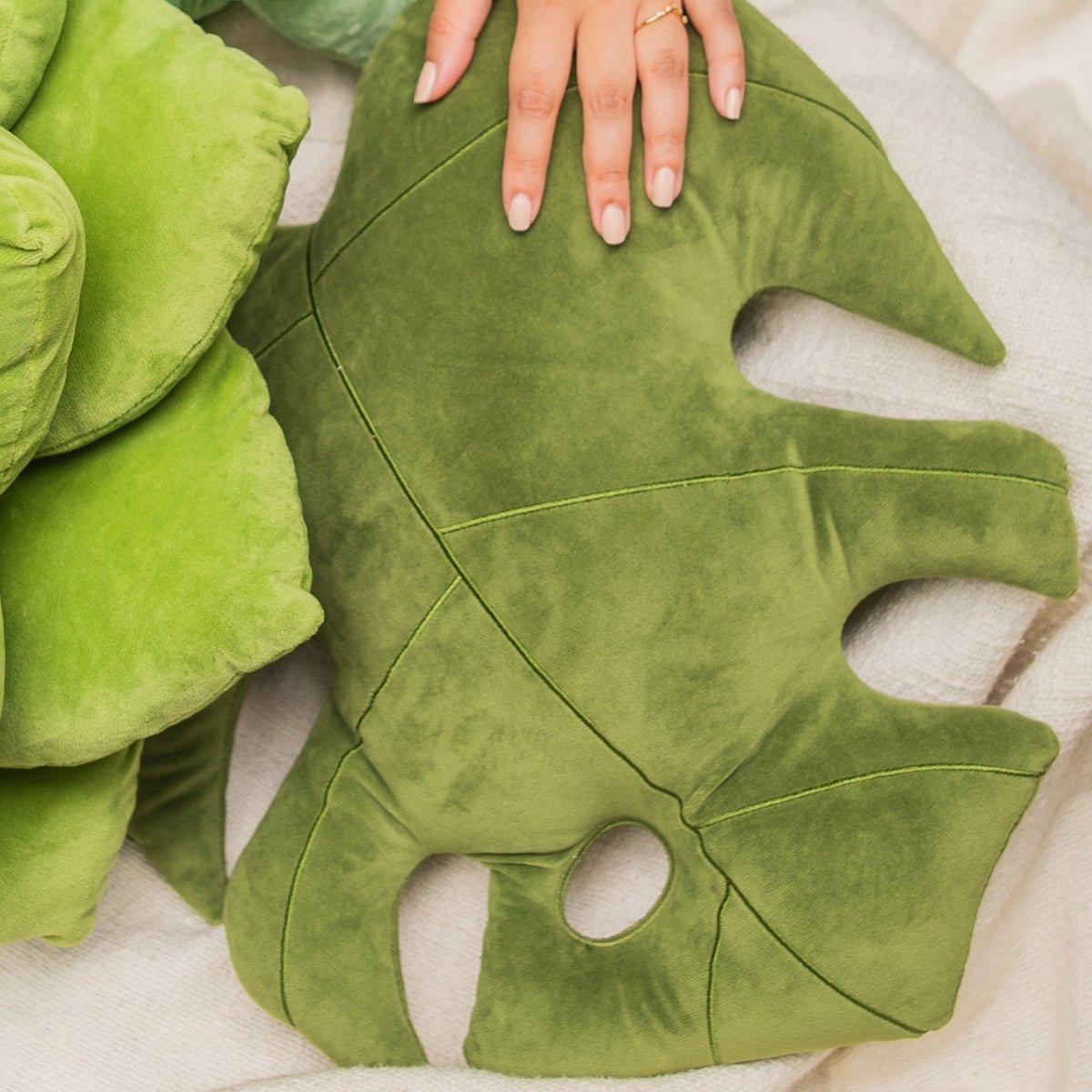 Best Buds Bundle - Olive - Green Philosophy Co.