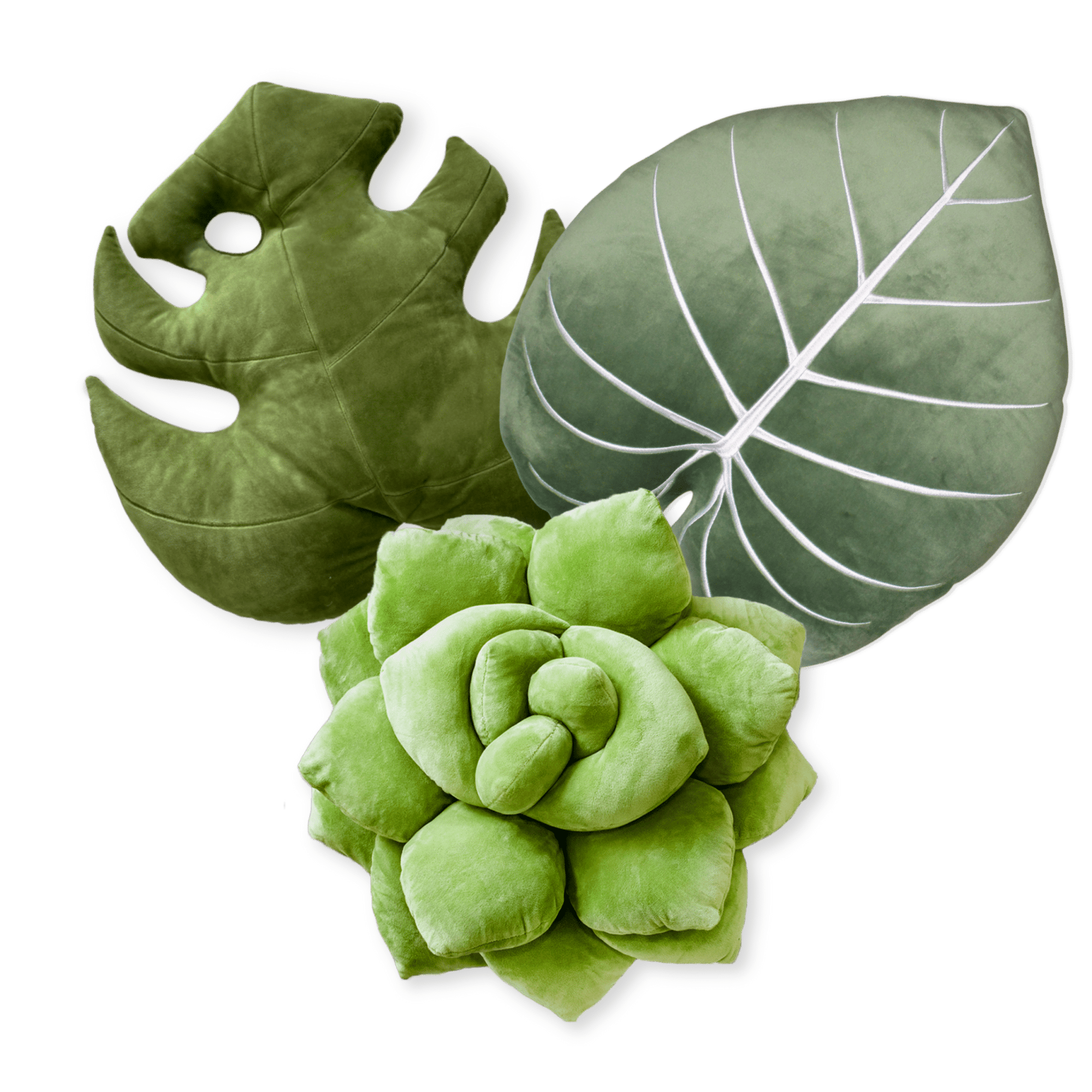 Best Buds Bundle - Olive - Green Philosophy Co.