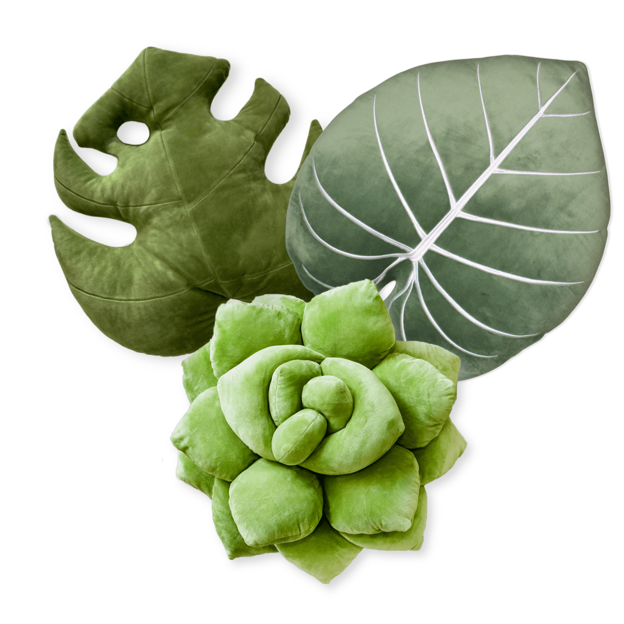 Best Buds Bundle - Olive - Green Philosophy Co.