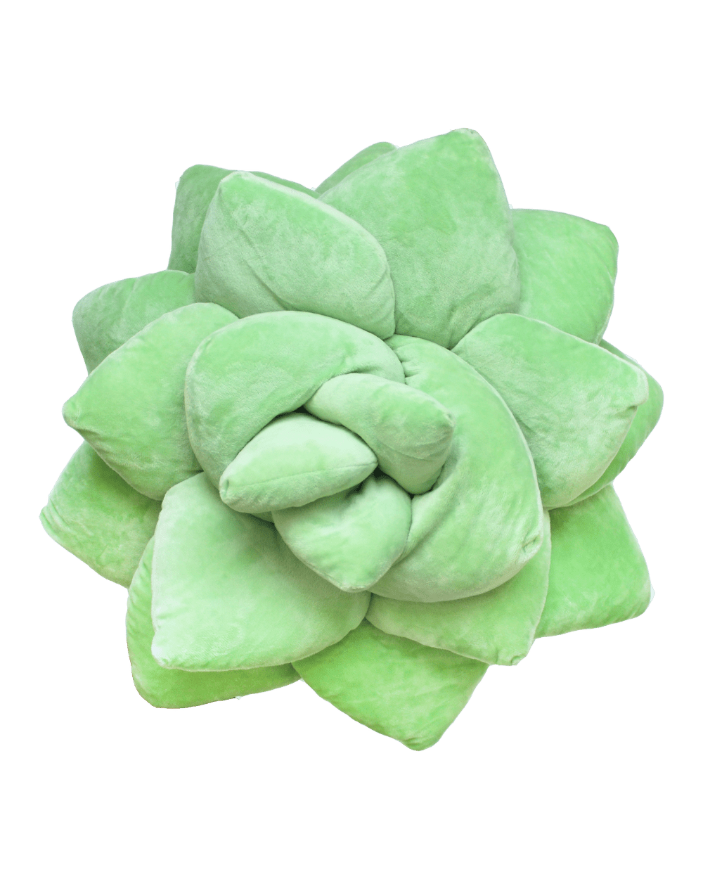 Big Pop Succulent® - Sage Green - Green Philosophy Co.