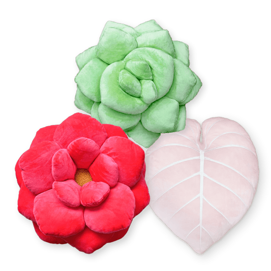 Blooming Bliss Bundle - Green Philosophy Co.