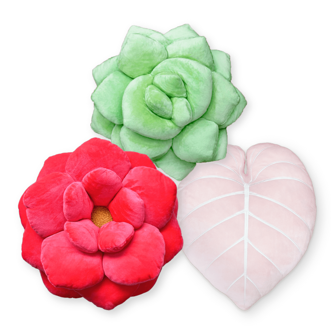 Blooming Bliss Bundle - Green Philosophy Co.