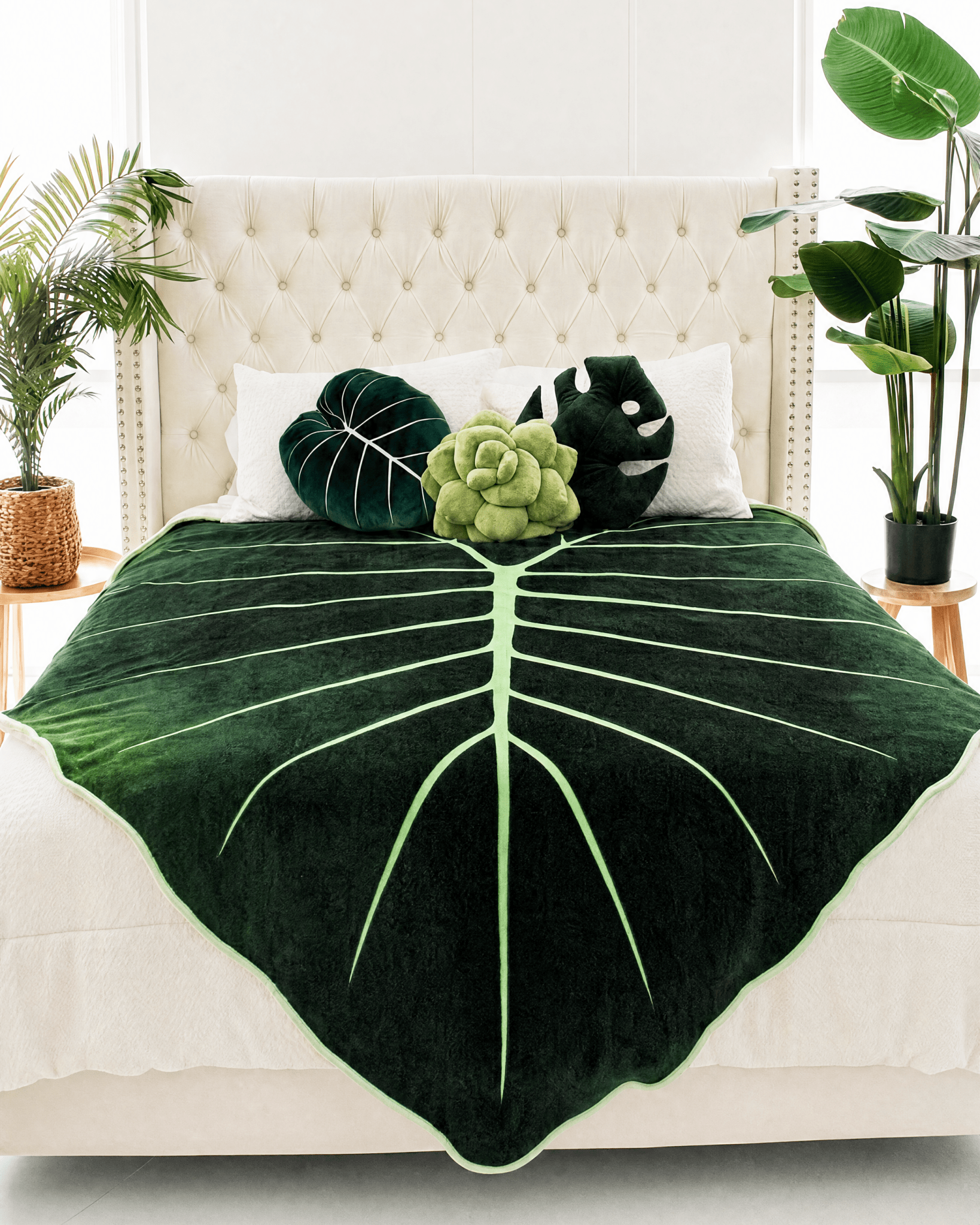Dark Forest Bundle - Green Philosophy Co.