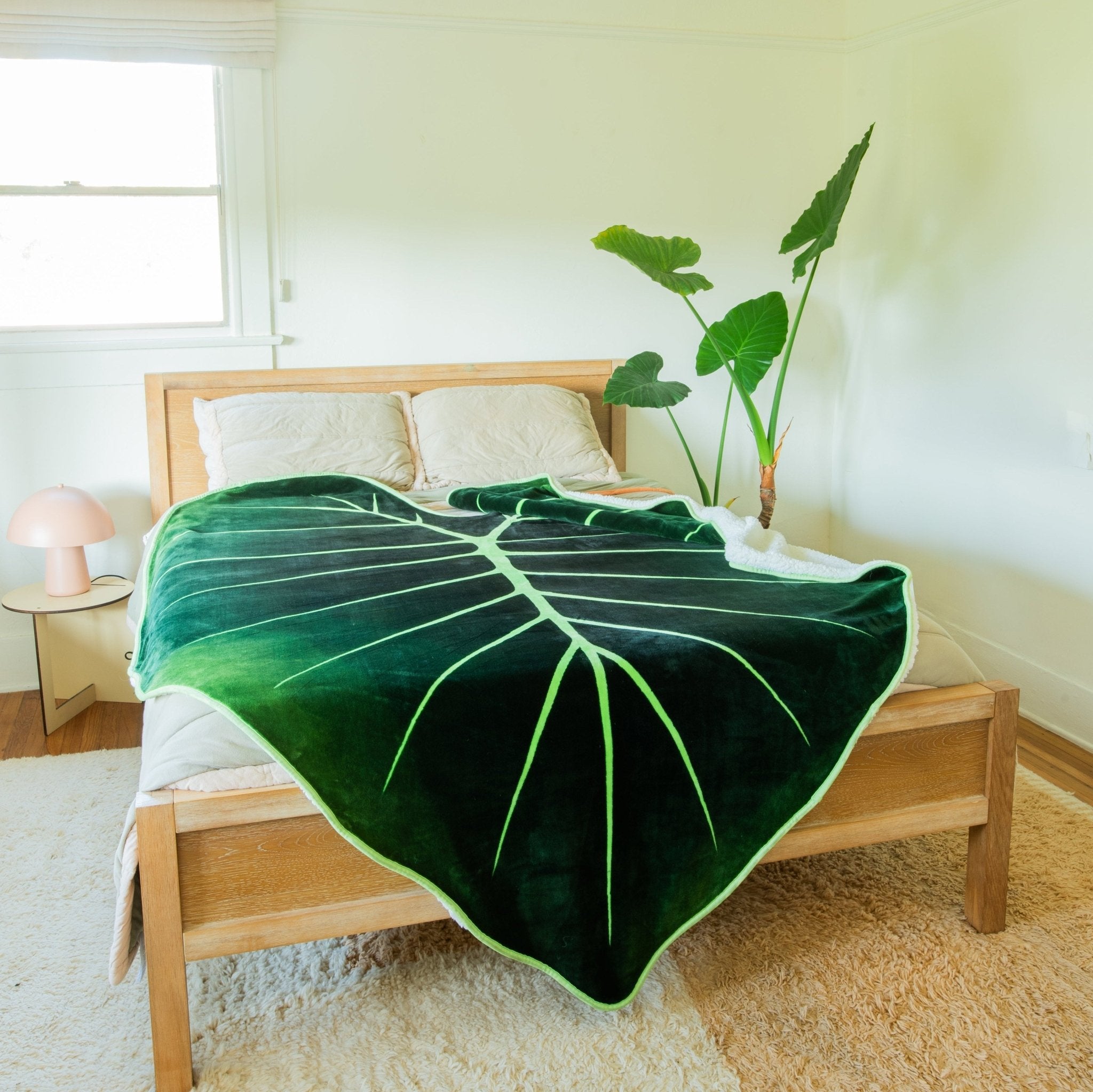 philodendron blanket Dark Forest Bundle