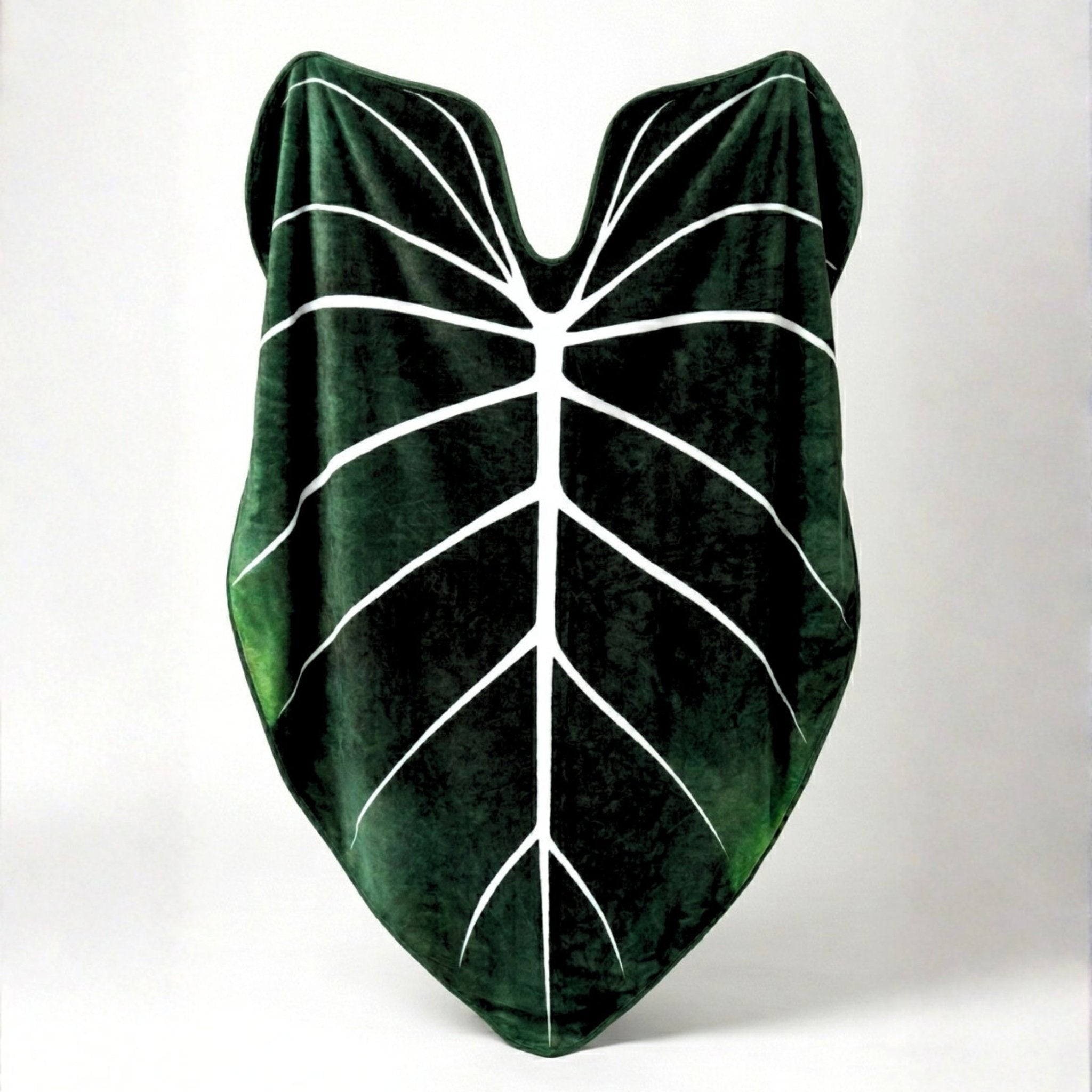 philodendron leaf blanket Giant Leaf Blanket Gloriosum