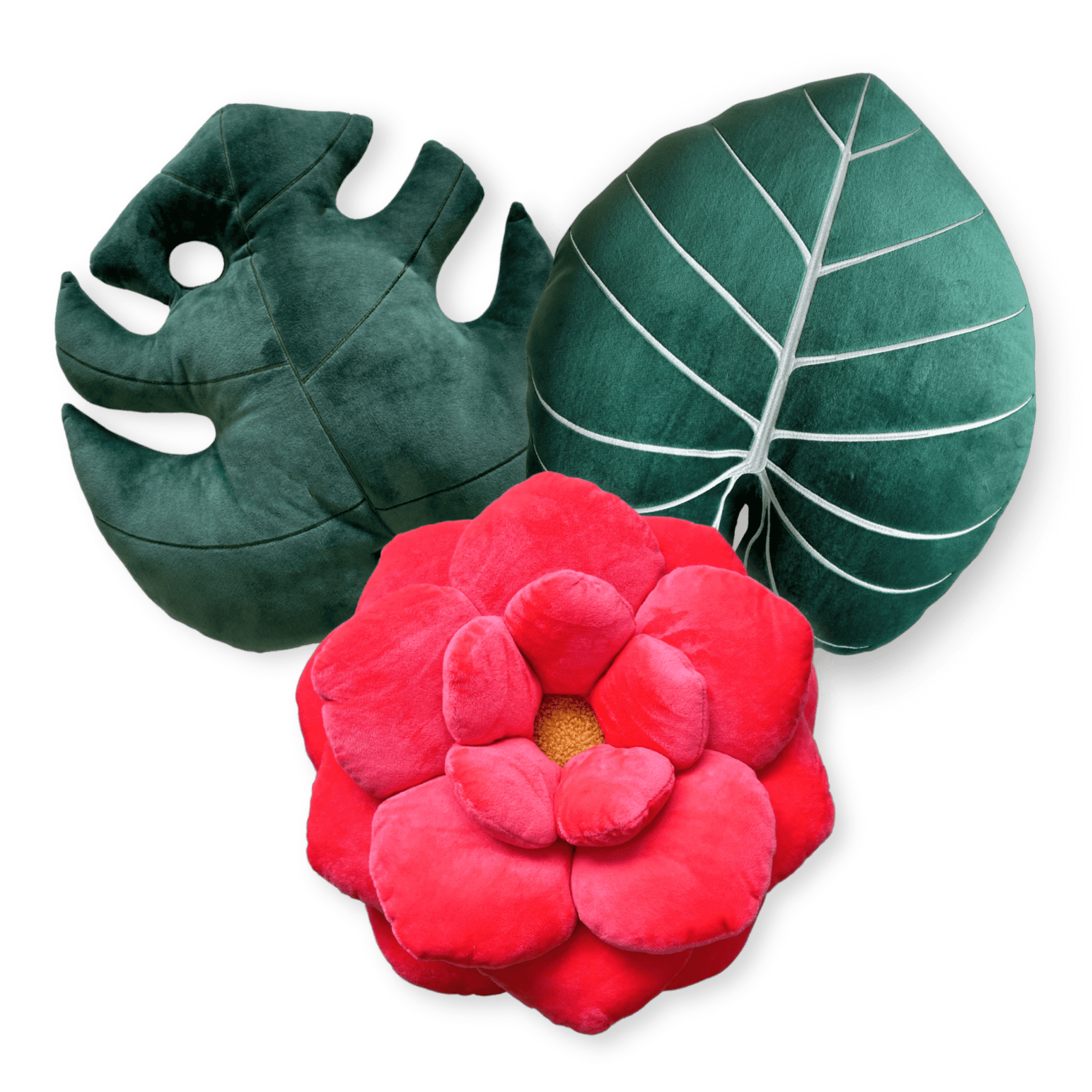 Jungle Bloom Bundle - Green Philosophy Co.