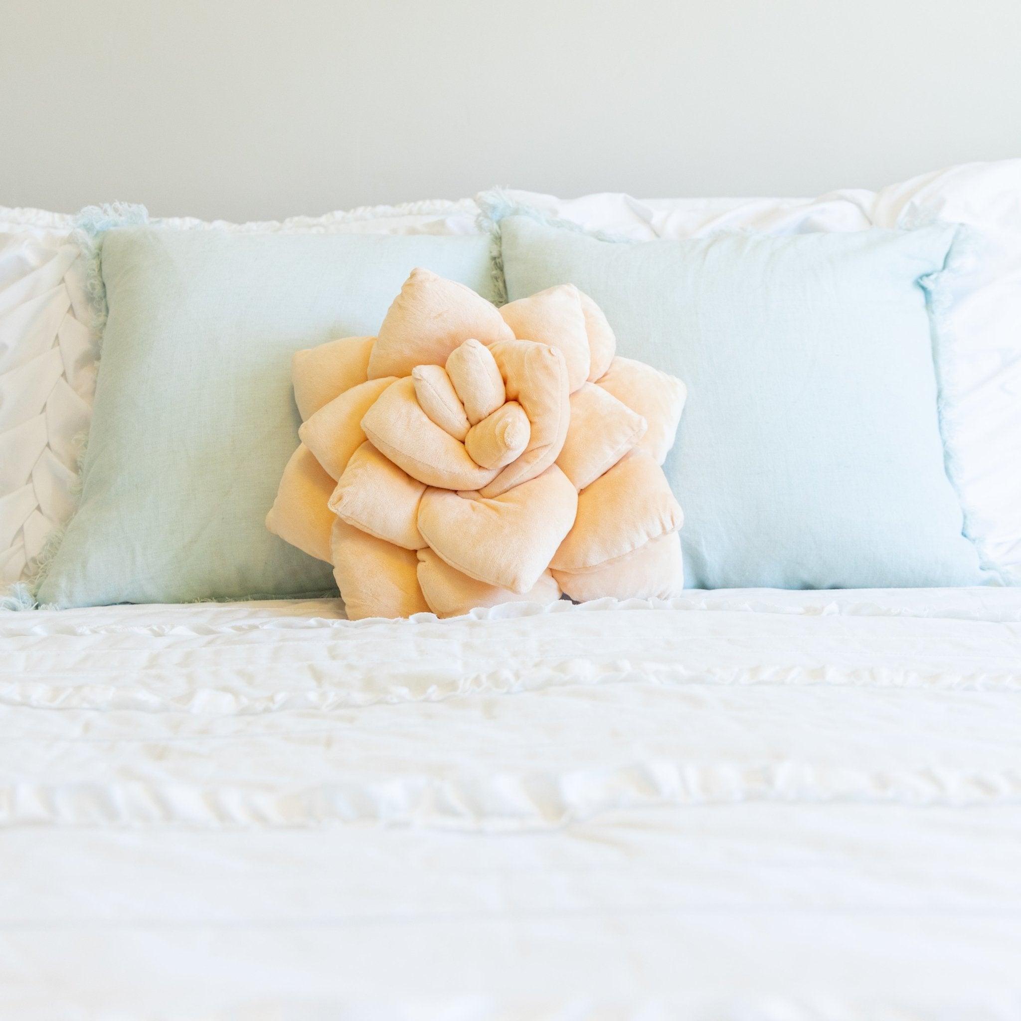 Lil' Pop Succulent® - Blush Peach - Green Philosophy Co.