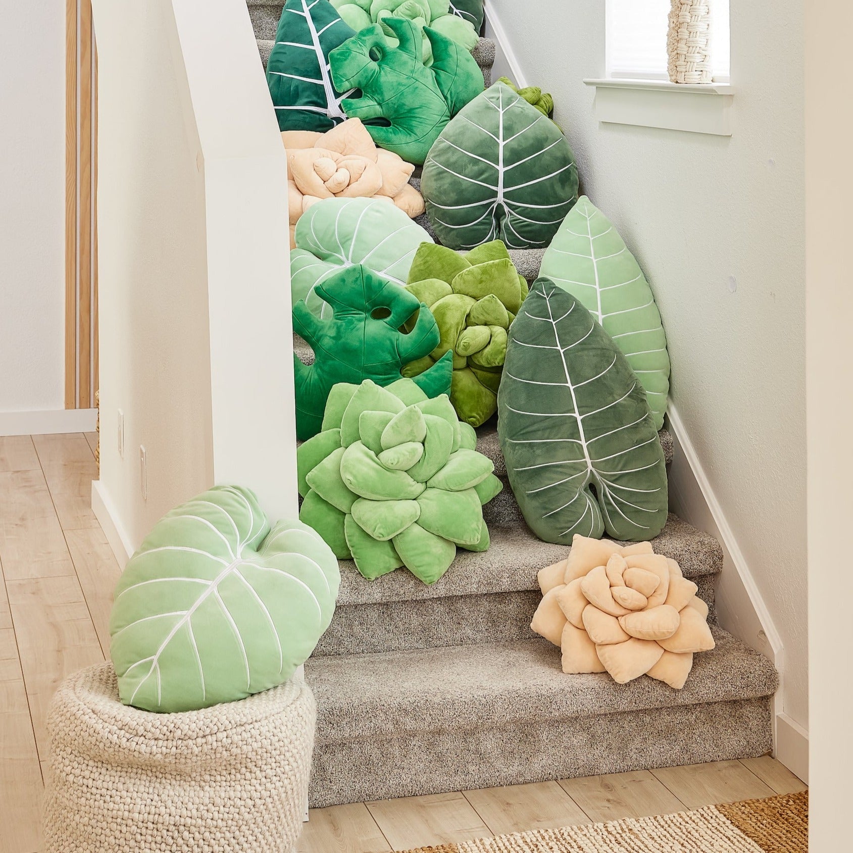Lil' Pop Succulent® - Blush Peach - Green Philosophy Co.