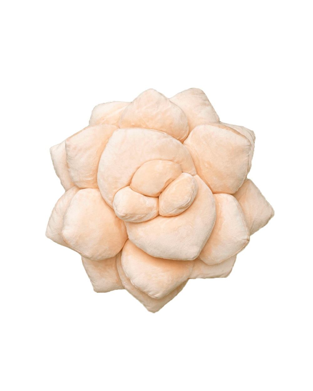 Lil' Pop Succulent® - Blush Peach - Green Philosophy Co.