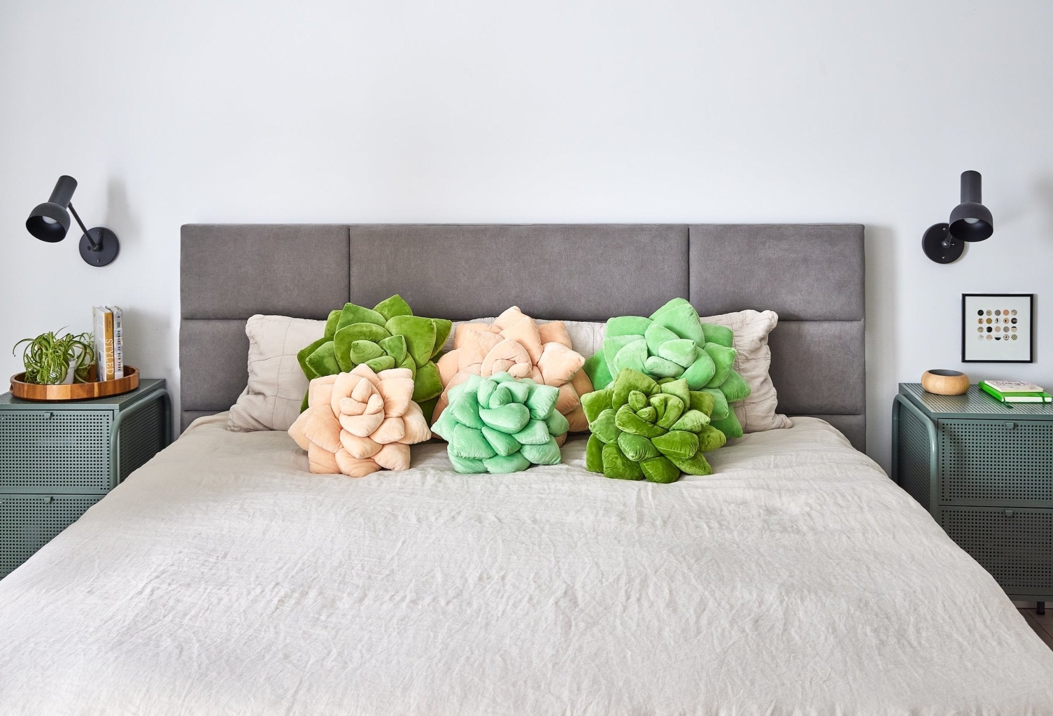 Lil' Pop Succulent® - Blush Peach - Green Philosophy Co.