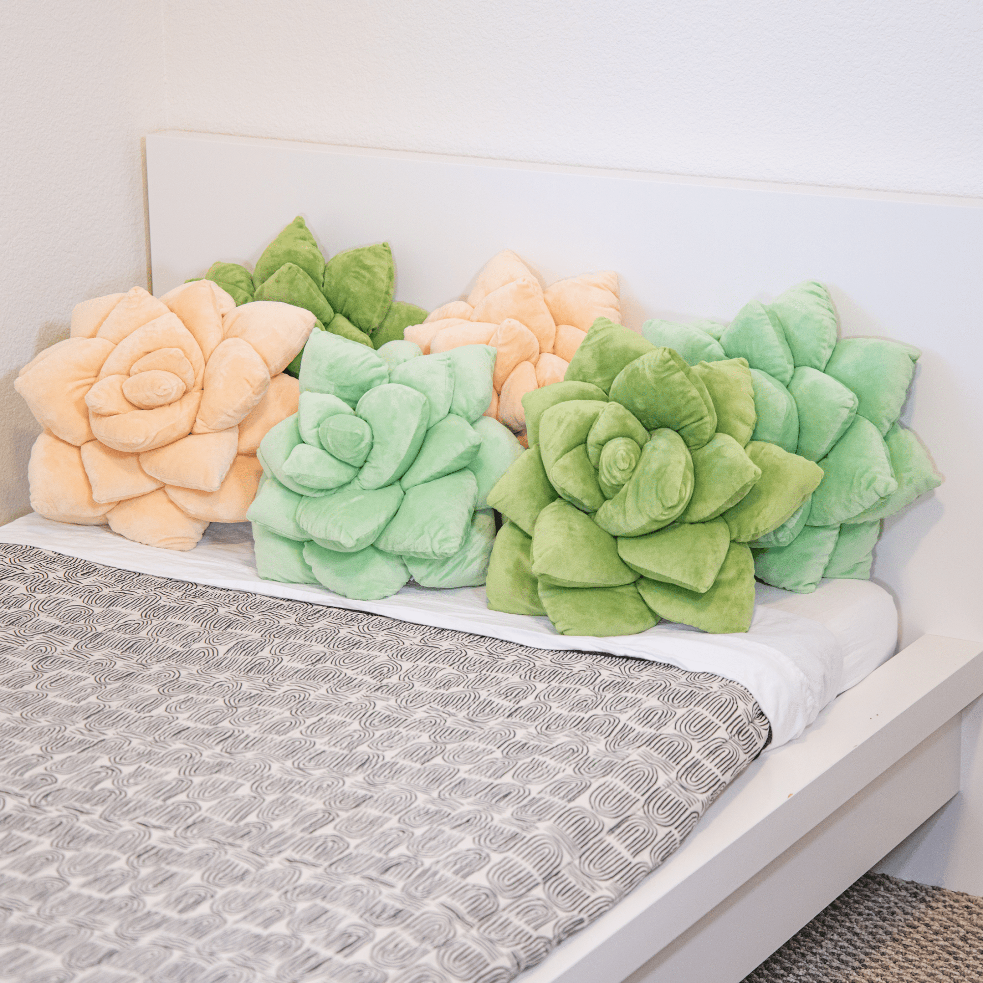 Lil' Pop Succulent® - Blush Peach - Green Philosophy Co.