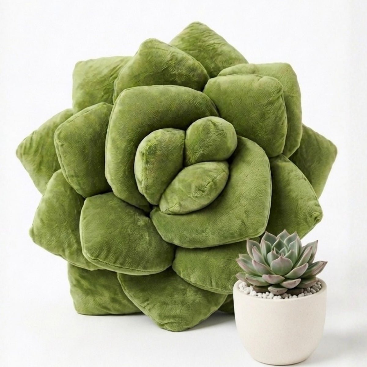 Lil' Pop Succulent® - Olive Green - Green Philosophy Co.