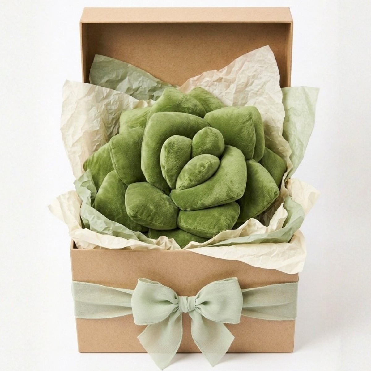 Lil' Pop Succulent® - Olive Green - Green Philosophy Co.