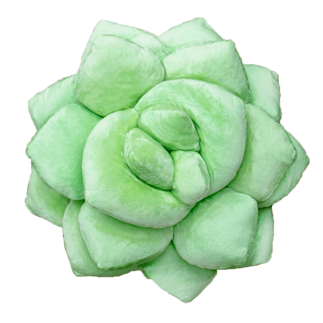 Lil' Pop Succulent® - Sage Green - Green Philosophy Co.