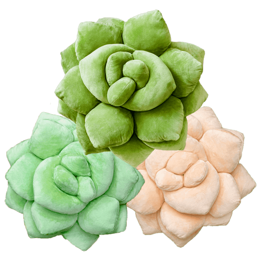 Lil' Pop Succulents Trio Bundle - Green Philosophy Co.