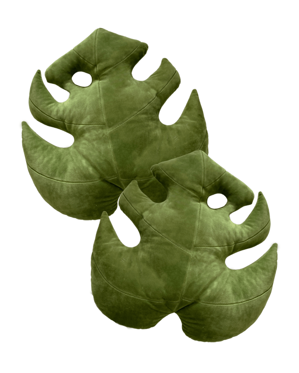 Monstera Leaf Set - Mossy Earth - Green Philosophy Co.