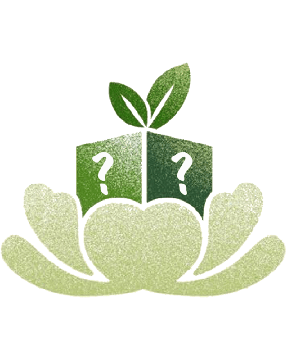 Mystery Plant Pillows Box - Green Philosophy Co.