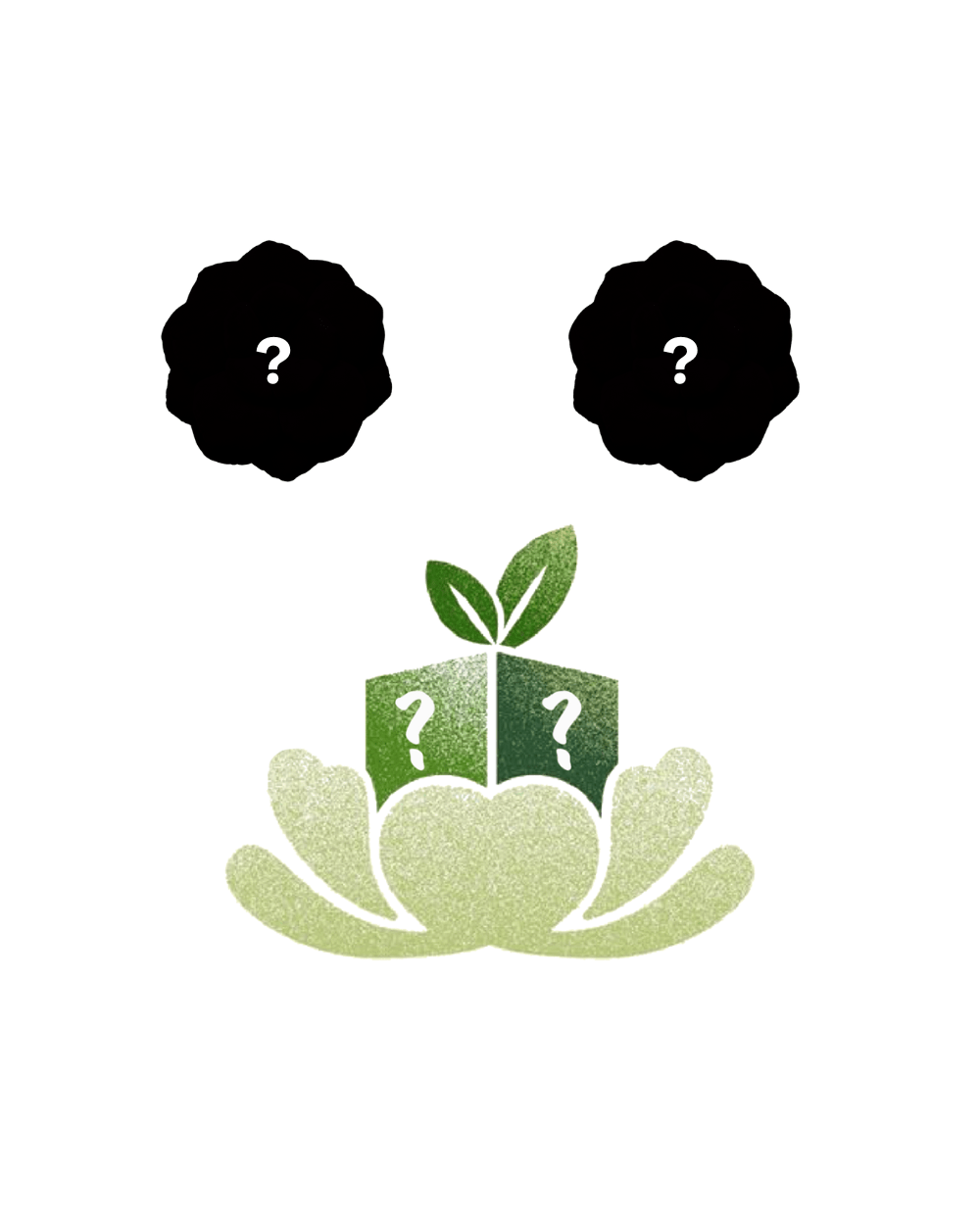 Mystery Plant Pillows Box - Green Philosophy Co.