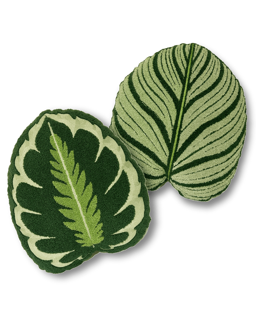 Tufted Calathea Leaf Pillow Set - Green Philosophy Co.