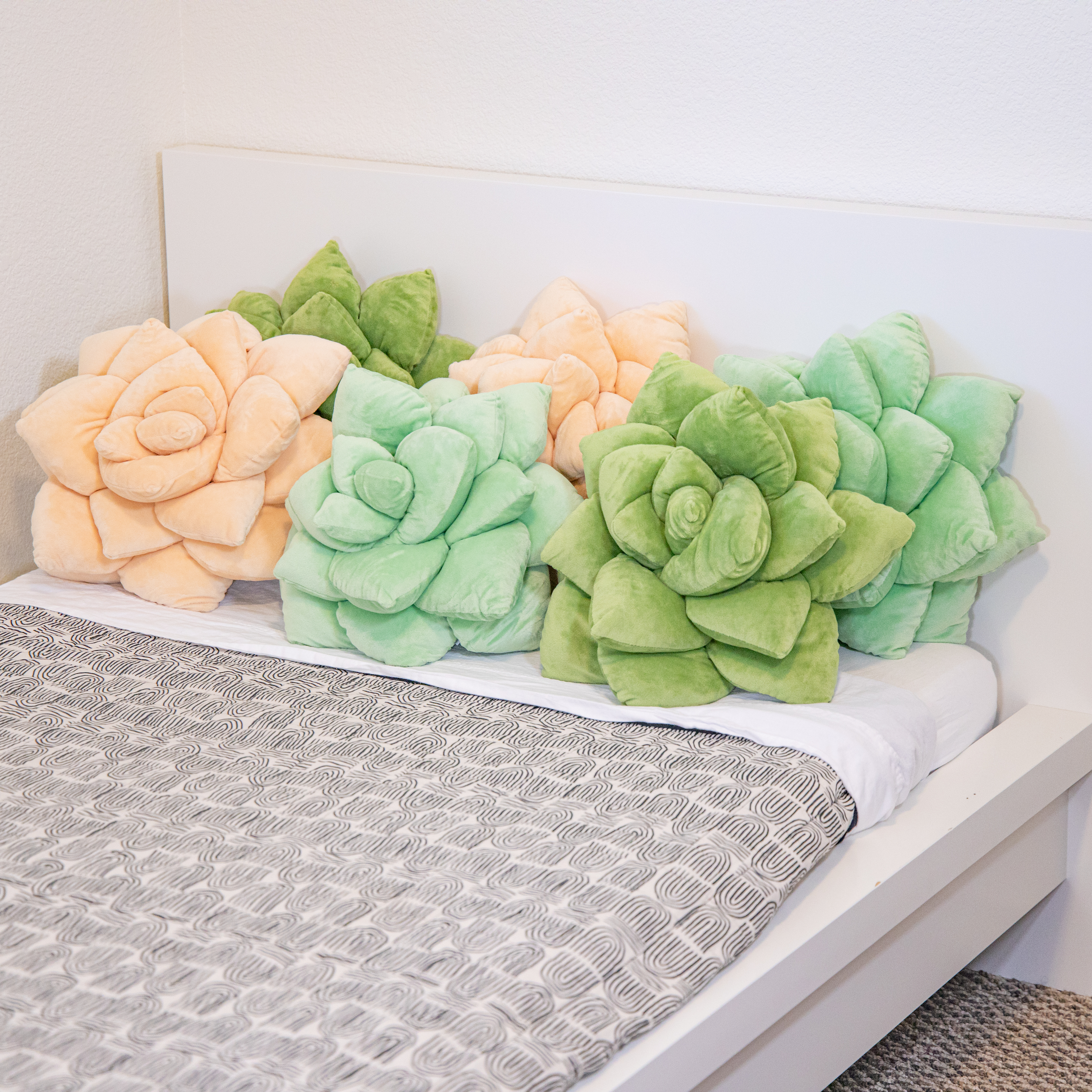 leaf blanket and succulent pillows Lil' Pop Succulent Throw Pillow