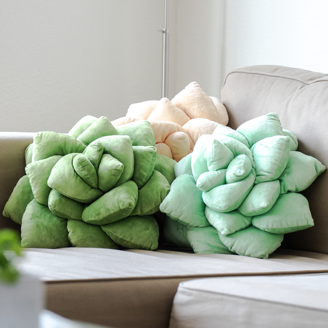 green philosophy succulent pillow Lil' Pop Succulent®