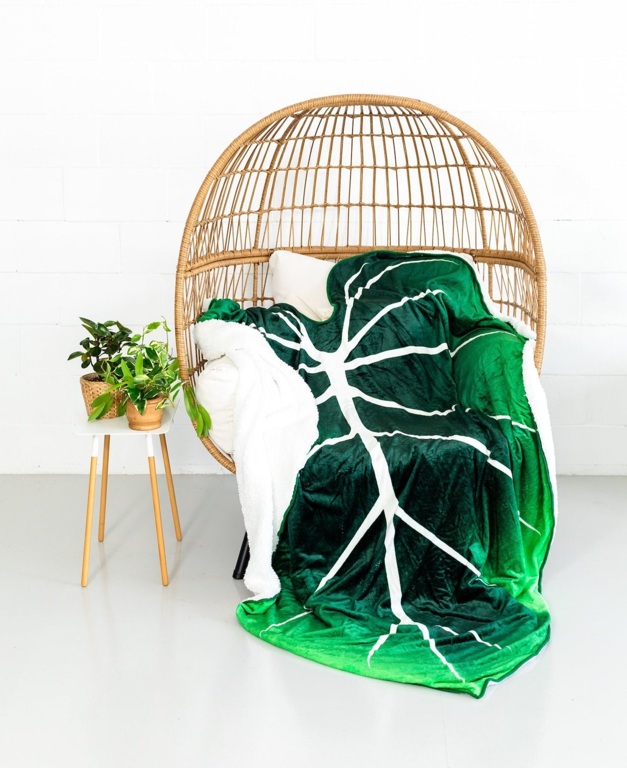 leaf blanket and succulent pillows Giant Leaf Blanket Gloriosum