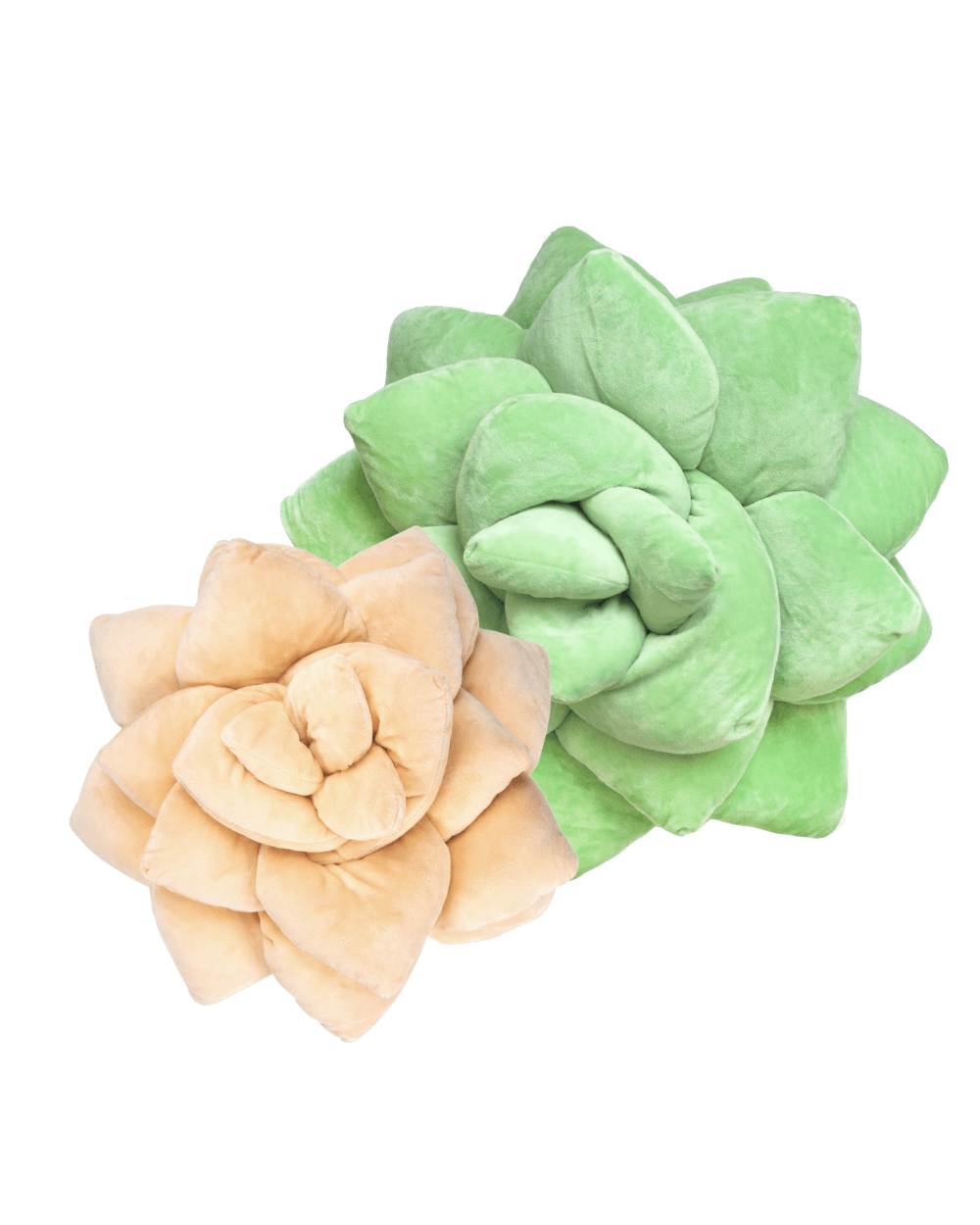 https://www.greenphilosophy.co/cdn/shop/products/lil-big-pop-succulent-bundle-538245.png?v=1669063917&width=1445