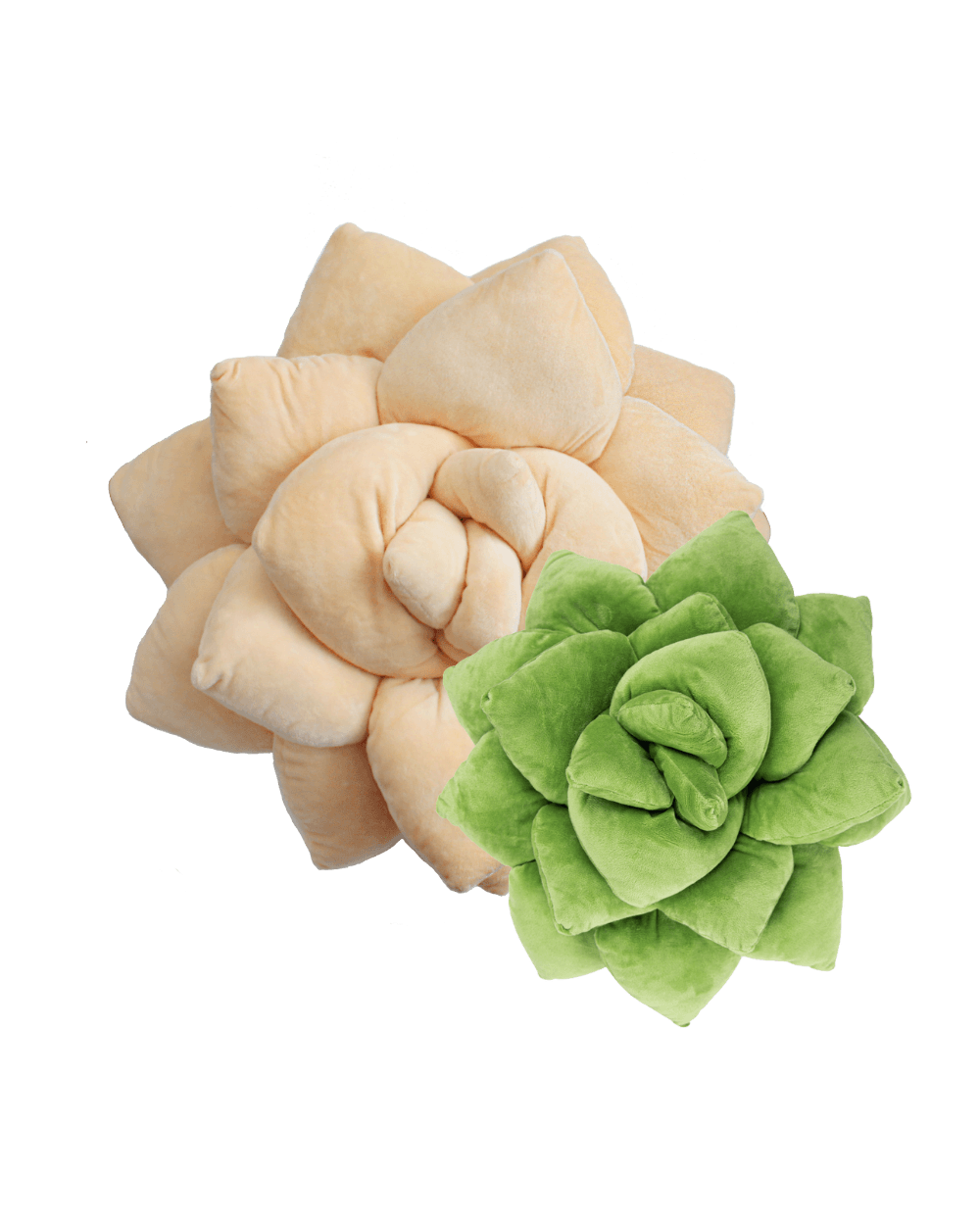 lil boo succulent Lil' + Big Pop Succulent Bundle, Lil' Blush Peach + Big Sage Green