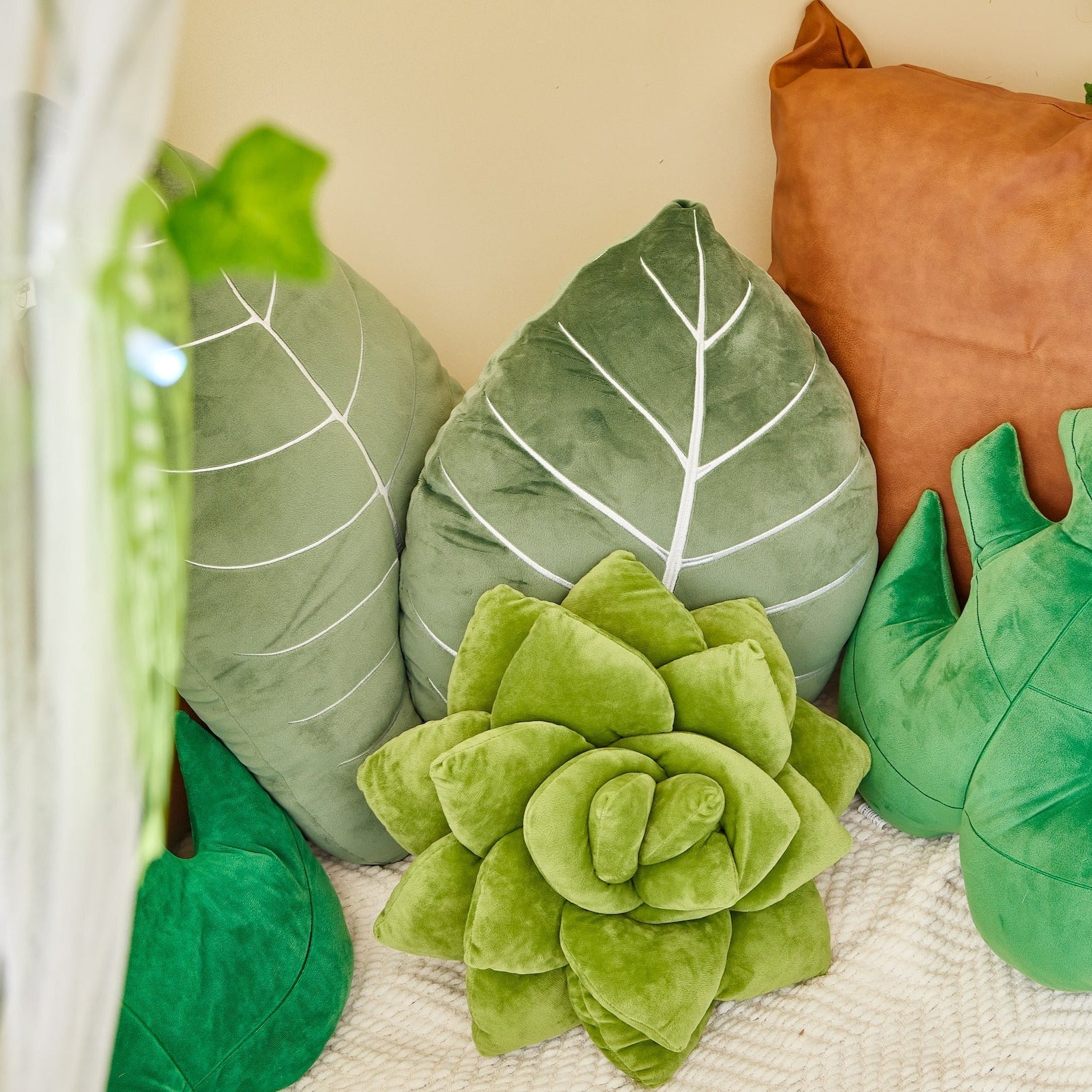 succulent pillow set Lil' Pop Succulent®